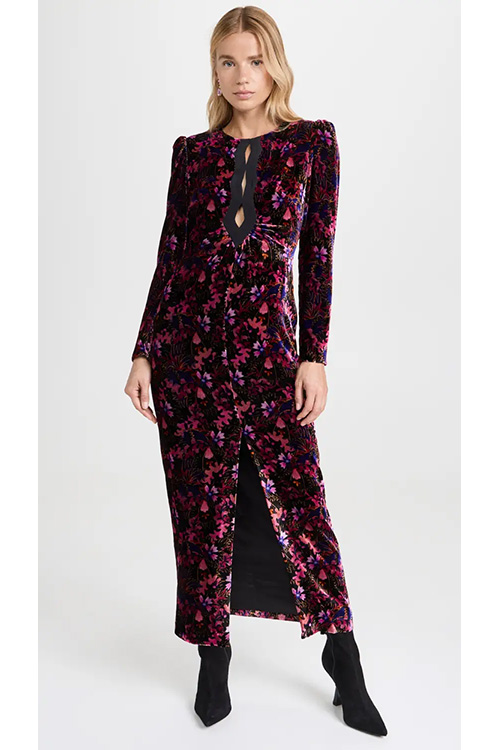 Saloni Jinx-C Floral Print Velvet Dress