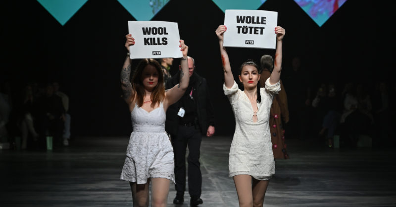 PETA Crash the Catwalk at Berlin Fashion Week - Protesters on the Runway at Marcel Ostertag AW2024