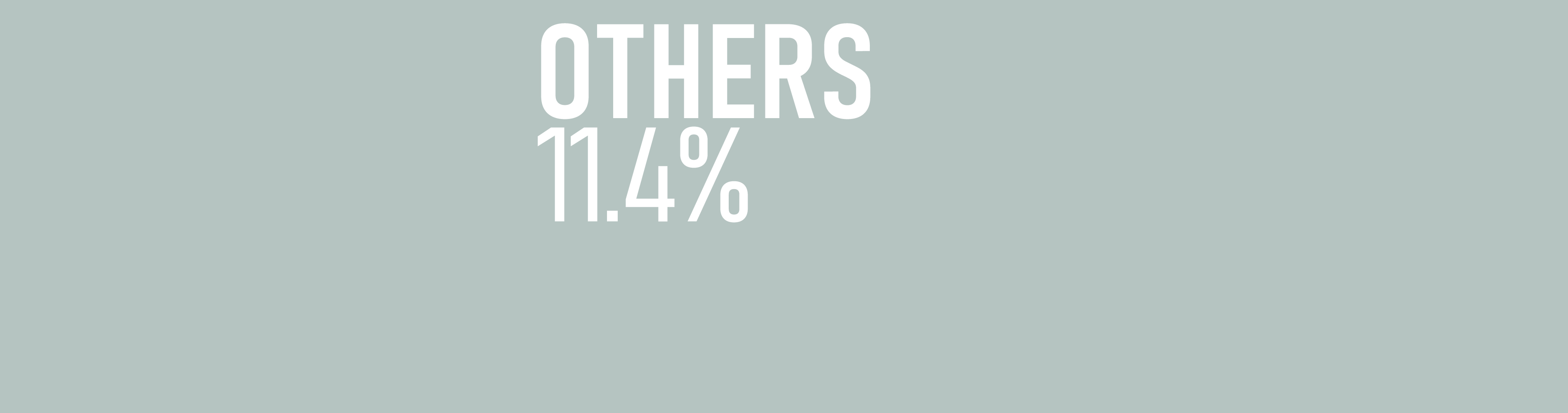 Others - 11.4%