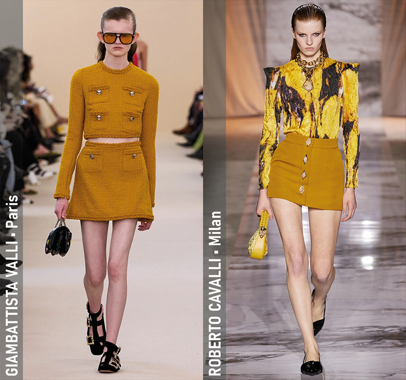 Fall 2024 Trends - 1970s Colour Palette - Giambattista Valli Fall 2024 (Paris), Roberto Cavalli Fall 2024 (Milan)