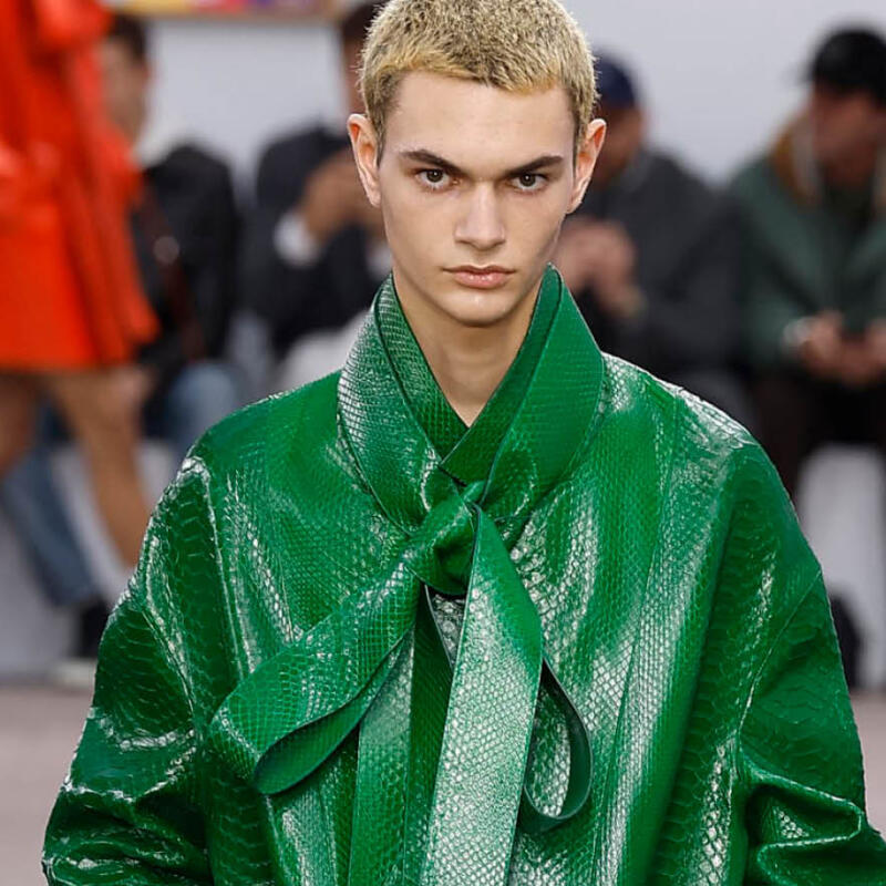Loewe Fall 2024 Menswear Collection