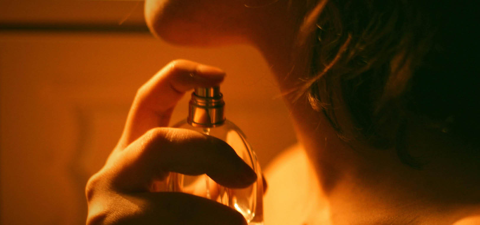 What is Oud? A Guide to the Most Complex Note in Fragrance