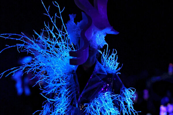 Noir Kei Ninomiya Fall 2025