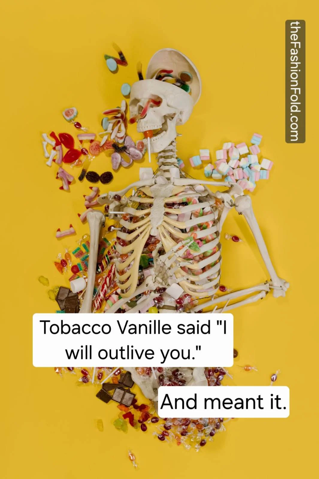 Fragrance Memes: Tobacco Vanille said it would outlive you. And meant it