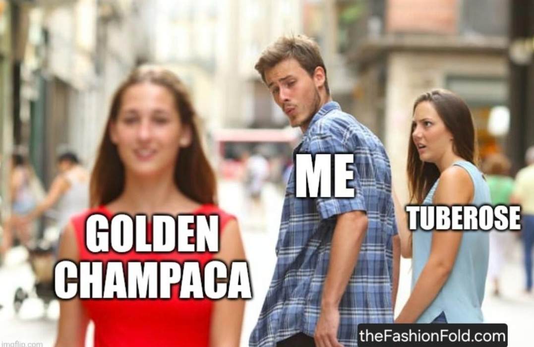Fragrance Memes: When a tuberose lover discovers golden champaca