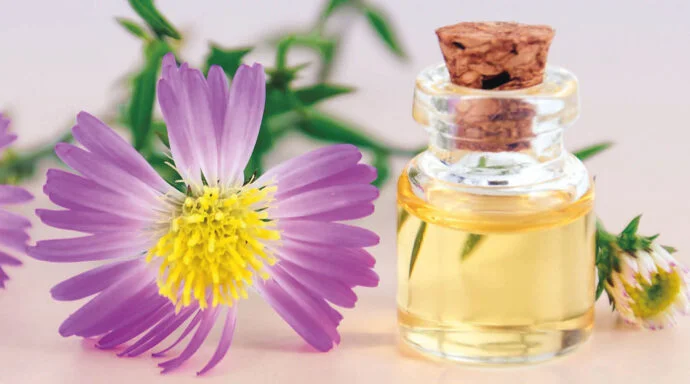 Women's Perfumes Under $50