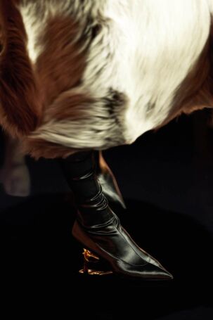 12/16 | Schiaparelli Fall 2026 Details | Courtesy of Schiaparelli Schiaparelli Fall 2026 Details | Courtesy of Schiaparelli