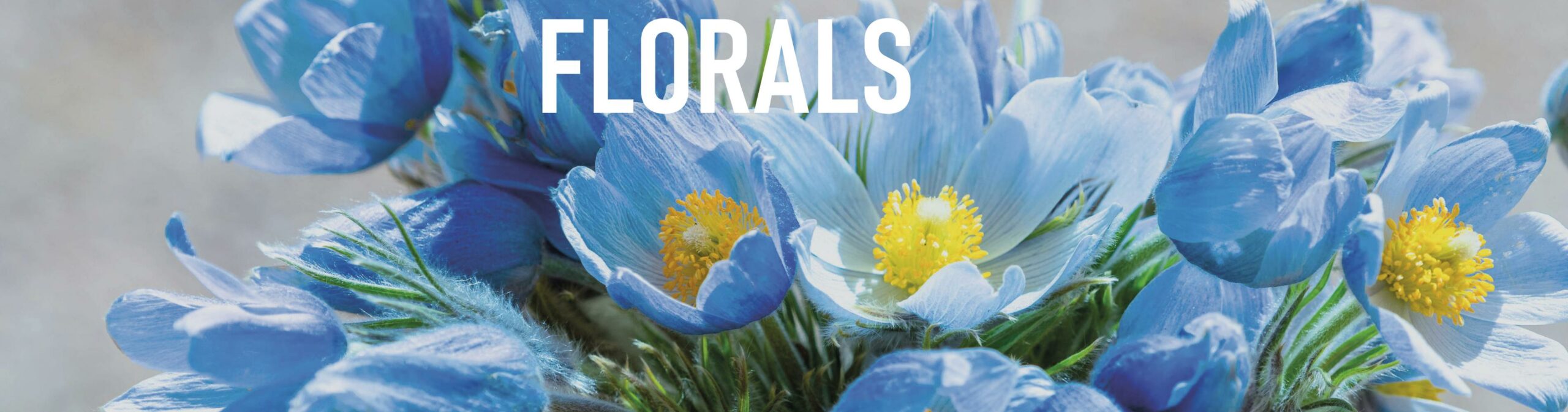 Graphic Impact - Copenhagen Spring 2025 Street Style Trends - Floral