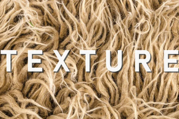 London Fashion Week Fall 2025 - Texture