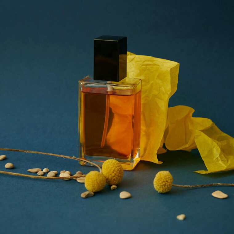 Best Niche Perfumes for 2025 by Season - Difficulty Rating Included!