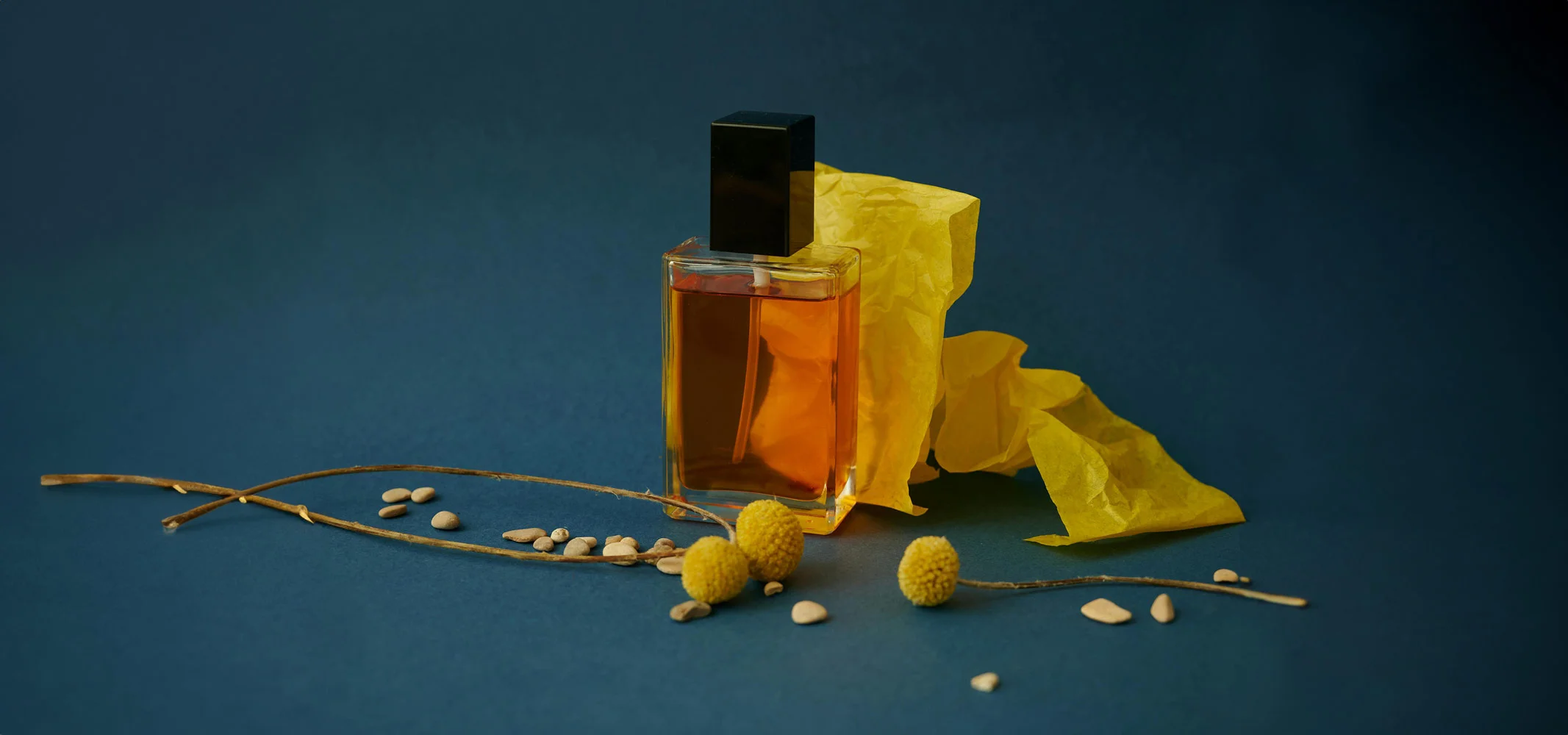 Best Niche Perfumes for 2025 by Season - Difficulty Rating Included!